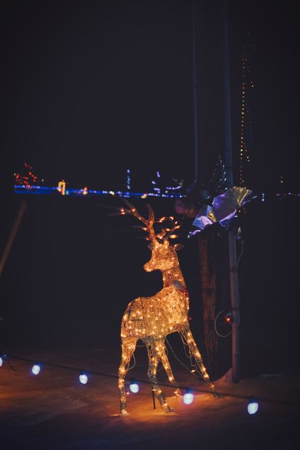 A decorative illuminated reindeer made of metal and covered in warm white fairy lights stands on a dark outdoor surface at night, with a black background and faint distant lights visible in the distance. The reindeer has detailed antlers, a textured body, and slender legs, creating a festive and seasonal atmosphere. Nearby, multi-colored string lights are draped vertically along a pole or structure, adding to the decorative ambiance. The scene appears to be part of outdoor holiday decorations, possibly near a garden, driveway, or festive display area. The lighting emphasizes the metallic finish of the reindeer and the glow of the fairy lights, contrasting against the dark background, with no other objects or figures visible. Although the focus is on the festive ornament, this scene can be associated with seasonal outdoor decorations or holiday lighting displays, often set up as part of home or community festive arrangements.